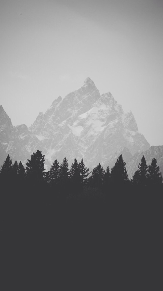 Mountain range forest bird black free wallpaper for mobile - medium preview image