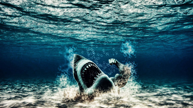 Shark swimming ocean mouth open free wallpaper for desktop - medium preview image
