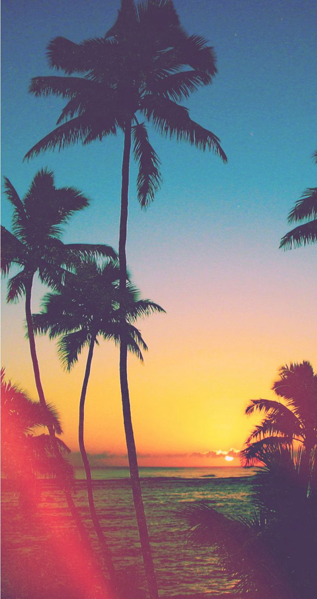 Sunset palm trees ocean orange free wallpaper for mobile - medium preview image