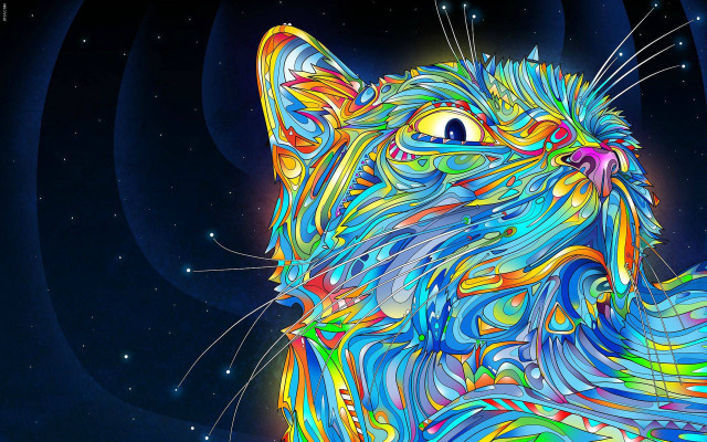 Colorful cat blue background stars #4 free wallpaper for desktop - medium preview image
