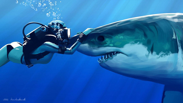 Man diving suit kissing shark #3 free wallpaper for desktop - medium preview image