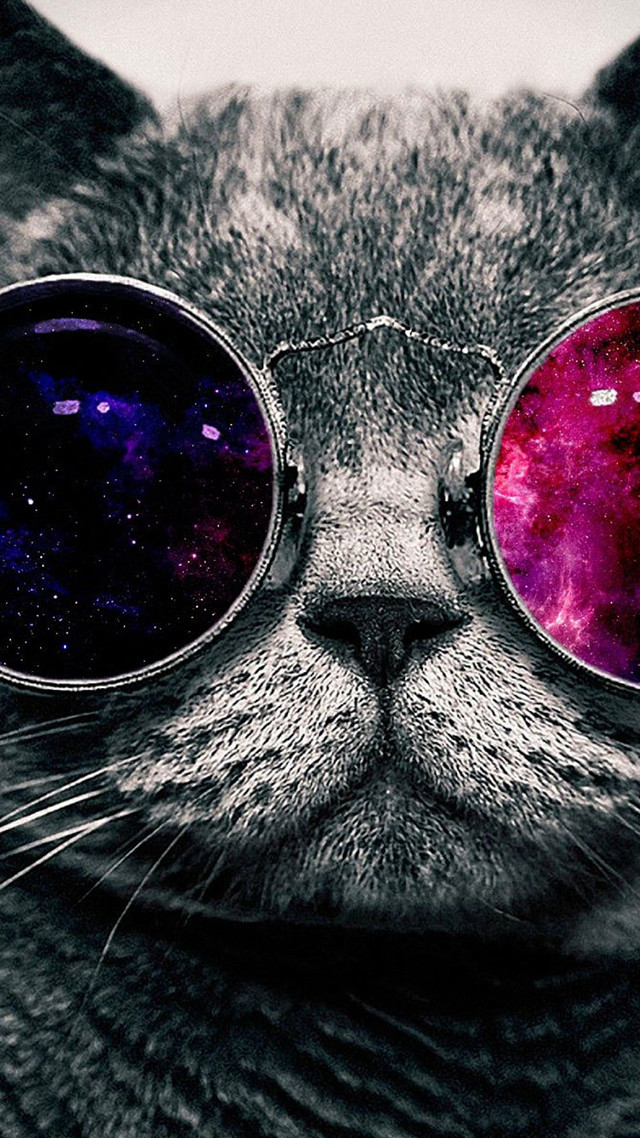 Cat glasses space theme face free wallpaper for mobile - medium preview image