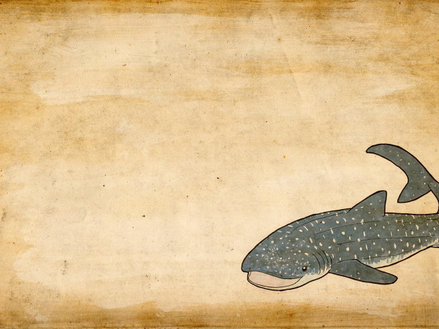 Whale long tail large mouth free wallpaper for desktop - medium preview image