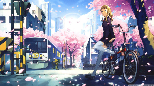 Woman bike street train pink free wallpaper for desktop - medium preview image