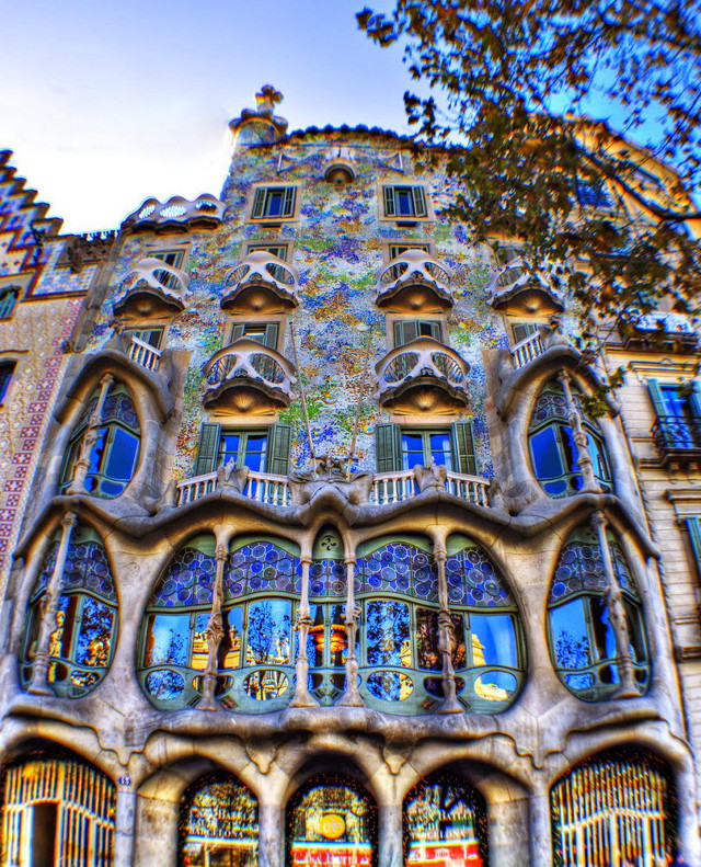 Building windows clock tree front free wallpaper for mobile - medium preview image