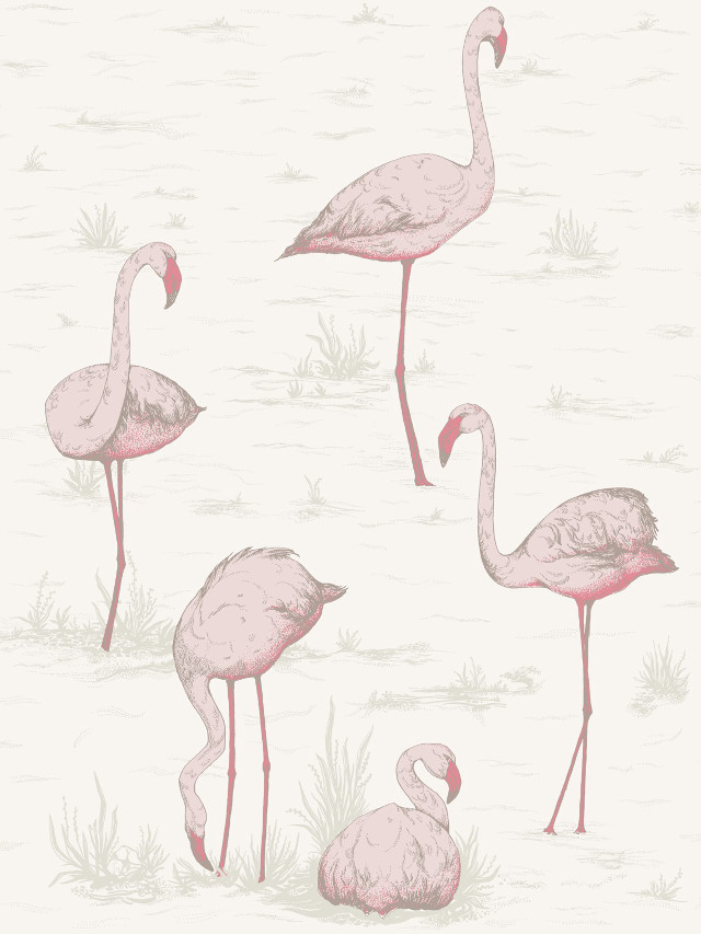 Flamingos beach water grass sandy free wallpaper for mobile - medium preview image