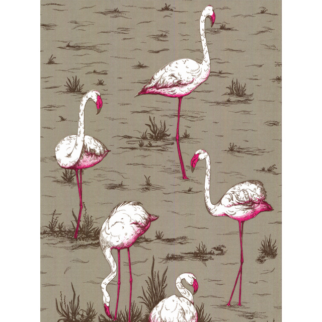 Flamingos grass field water plants free wallpaper for tablet - medium preview image