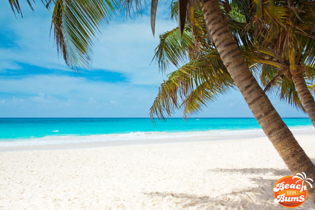 Beach palm tree sign beach free wallpaper for desktop - medium preview image