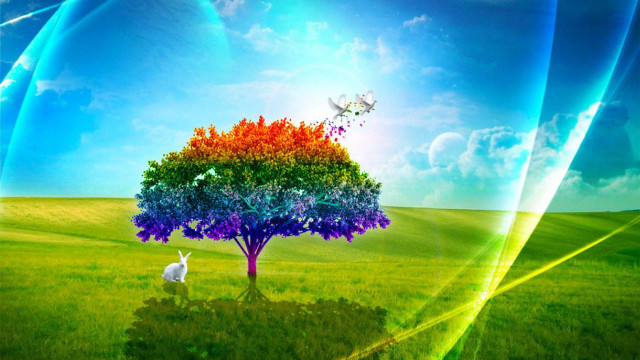 Rainbow tree field white rabbit free wallpaper for desktop - medium preview image