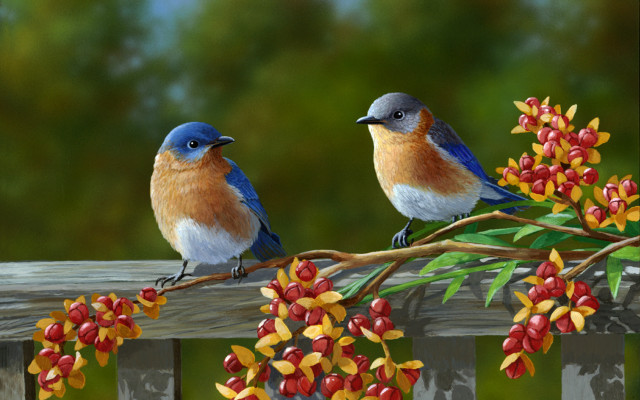 Two birds branch berries green free wallpaper for desktop - medium preview image
