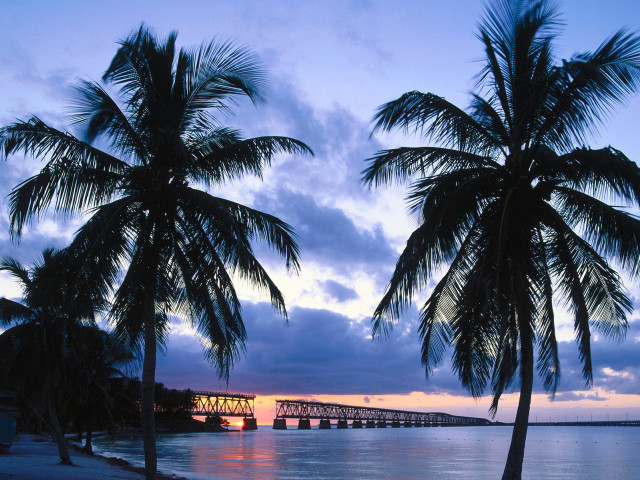 Palm tree bridge dusk blue free wallpaper for desktop - medium preview image