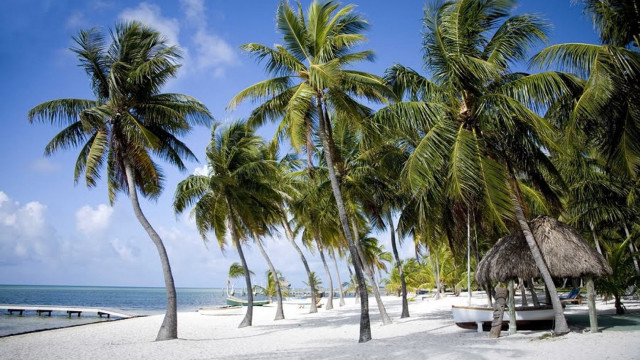 Beach palm trees hut ocean #7 free wallpaper for desktop - medium preview image