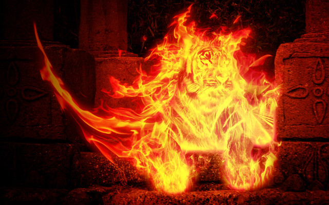 Fire lion stone wall dark free wallpaper for desktop - medium preview image
