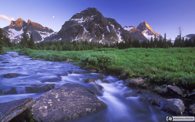 Mountain stream green field forest free wallpaper for desktop - medium preview image