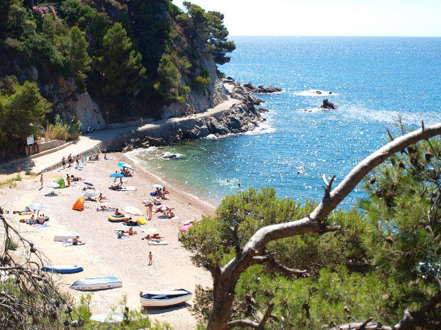 Beach people boats water trees free wallpaper for desktop - medium preview image