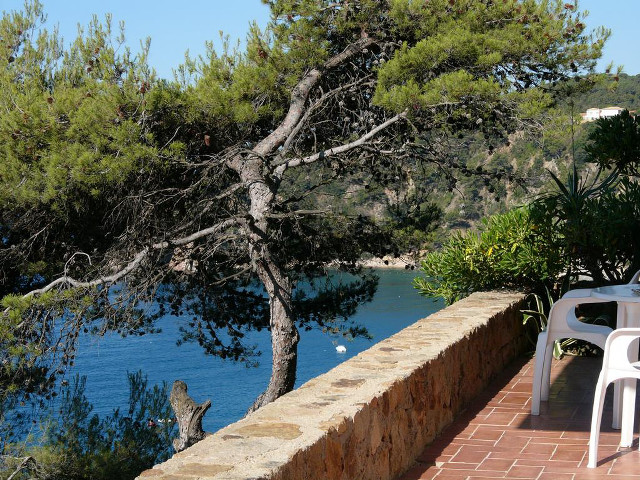 Patio table chairs water trees free wallpaper for desktop - medium preview image