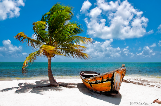 Boat beach palm tree blue free wallpaper for desktop - medium preview image