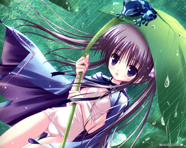 Girl umbrella rain frog head free wallpaper for desktop - medium preview image
