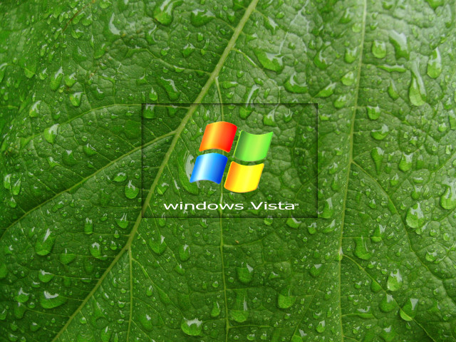 Green leaf water drops windows free wallpaper for desktop - medium preview image