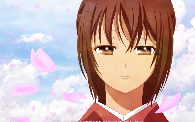 Anime brownhaired browneyes pinkpetals sky free wallpaper for desktop - medium preview image