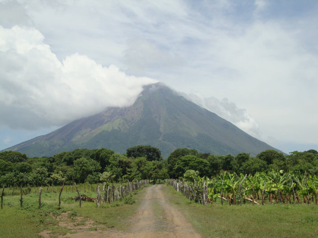 Dirt road mountain trees field free wallpaper for desktop - medium preview image