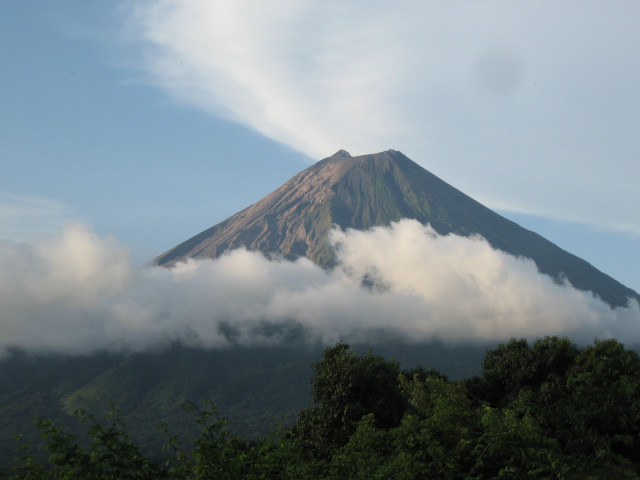 Mountain cloud trees foreground nature free wallpaper for desktop - medium preview image