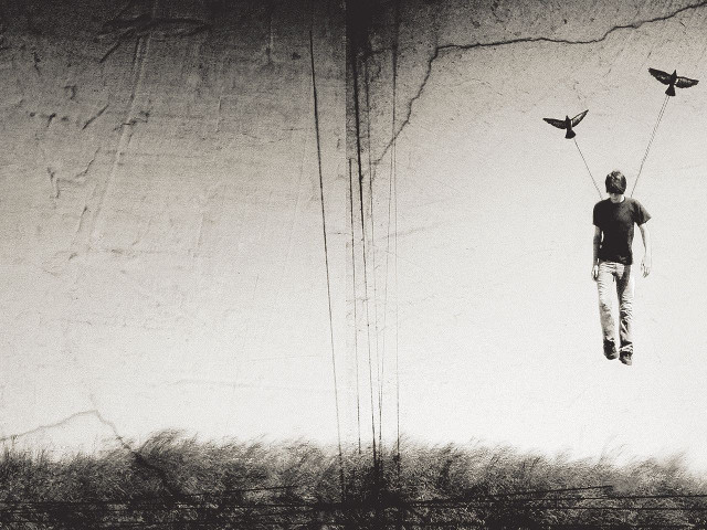 Man suspended wire birds air free wallpaper for desktop - medium preview image