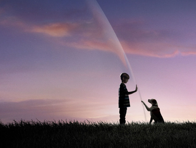 Woman child kite field sunset free wallpaper for desktop - medium preview image