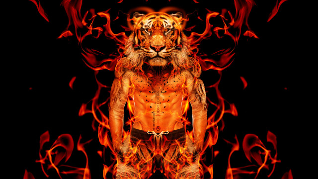 Tiger flames orange red man free wallpaper for desktop - medium preview image