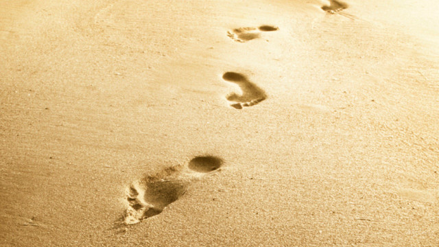 Beach footprints surfboard person walking free wallpaper for desktop - medium preview image