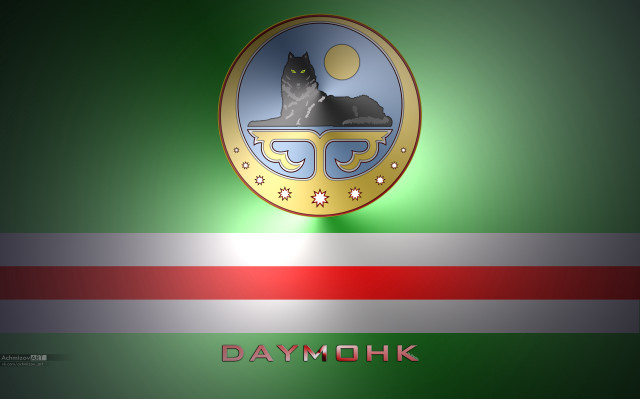 Cat sitting green red wall free wallpaper for desktop - medium preview image