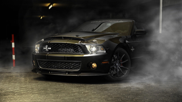 Mustang cobra digital cars girls free wallpaper for desktop - medium preview image