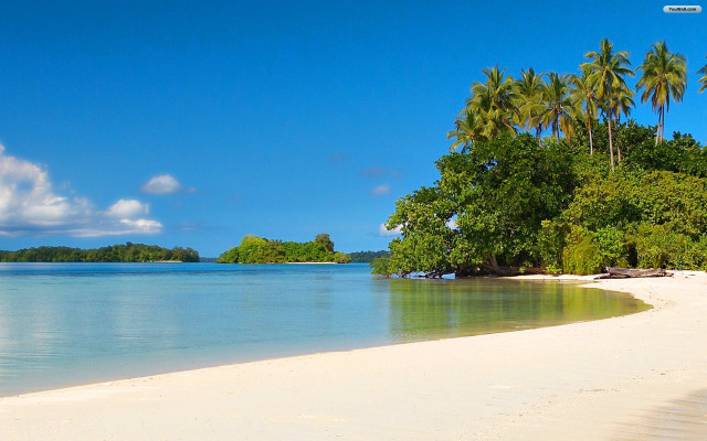Beach white sand palm trees free wallpaper for desktop - medium preview image