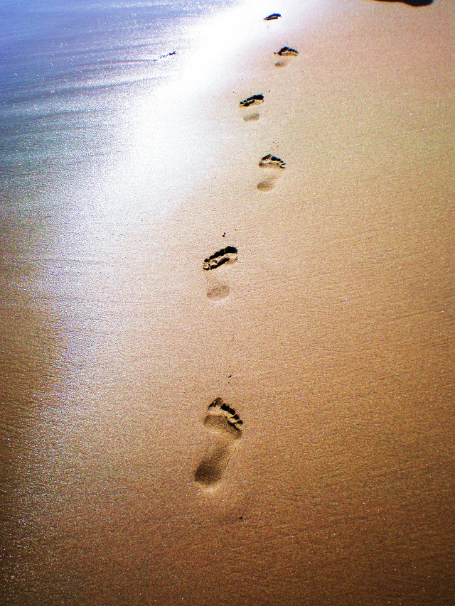 Footprints sand water surfboard beach free wallpaper for mobile - medium preview image
