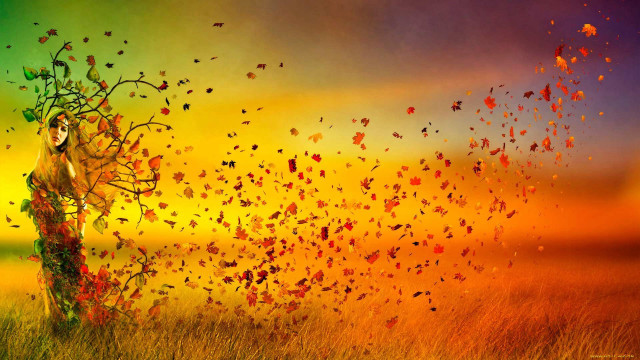 Woman field tree butterflies flying free wallpaper for desktop - medium preview image