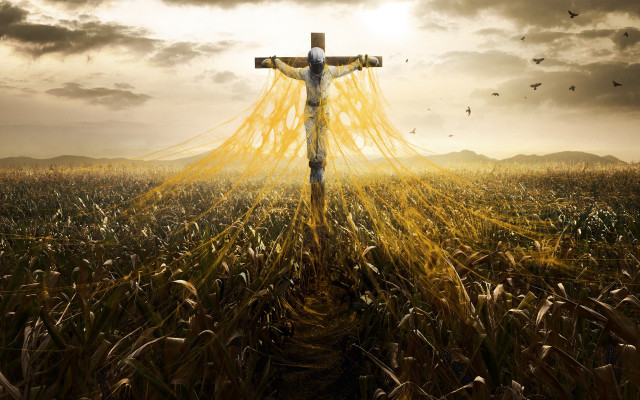 Cross field birds flying clouds free wallpaper for desktop - medium preview image