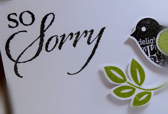 Bird sorry paper closeup image free wallpaper for desktop - medium preview image