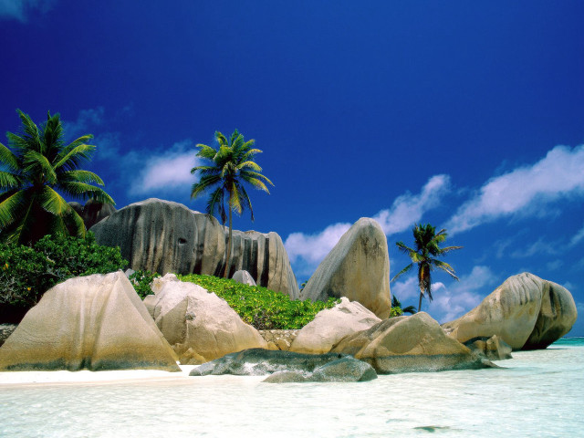 Beach palm trees rocks blue free wallpaper for desktop - medium preview image
