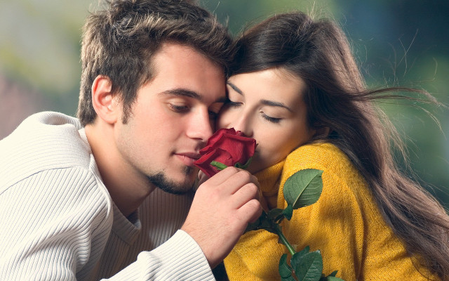 Man woman kissing holding rose #3 free wallpaper for desktop - medium preview image