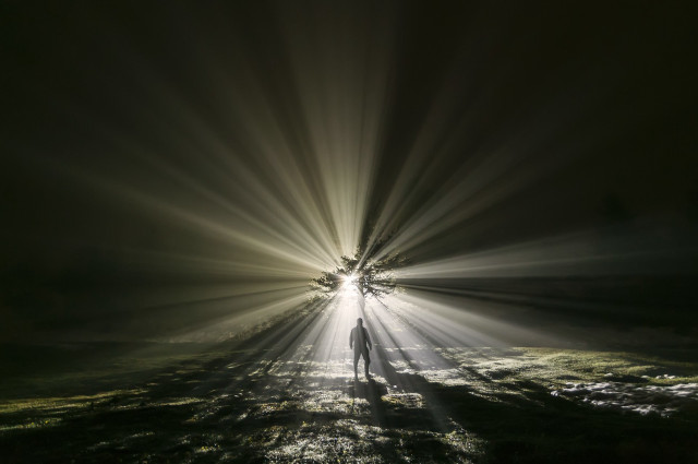 Person standing field light foggy free wallpaper for desktop - medium preview image