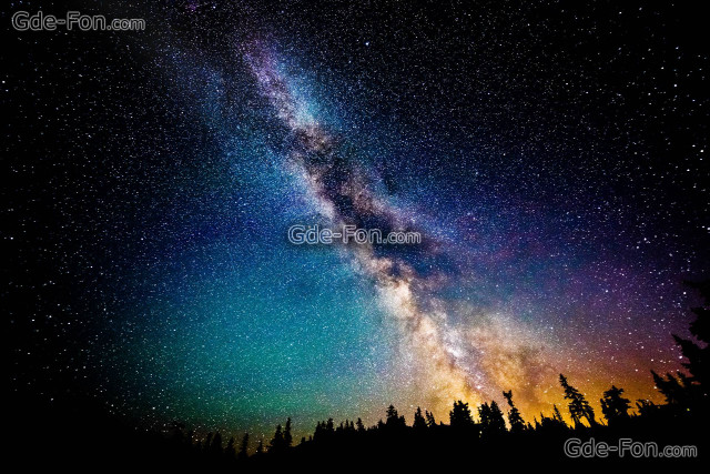 Night sky milky way pine free wallpaper for desktop - medium preview image