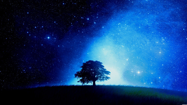 Tree field night sky stars free wallpaper for desktop - medium preview image