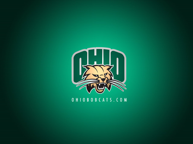 Green background tiger head ohio free wallpaper for desktop - medium preview image