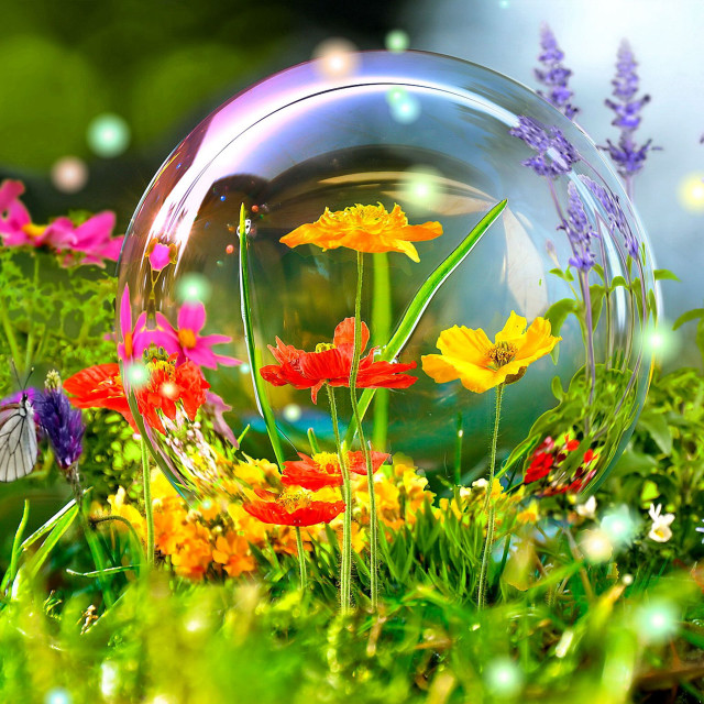 Bubble flowers grass field background free wallpaper for tablet - medium preview image