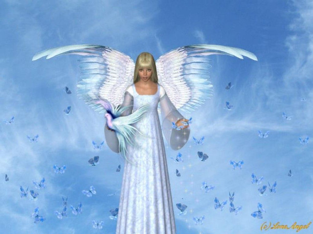 White angel blue bird blue free wallpaper for desktop - medium preview image