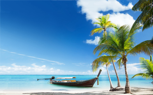 Boat beach palm trees blue #2 free wallpaper for desktop - medium preview image