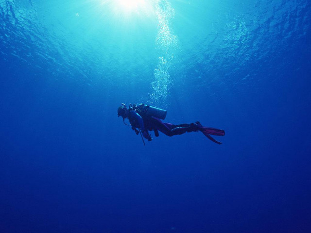Scuba diver ocean sun swimming free wallpaper for desktop - medium preview image