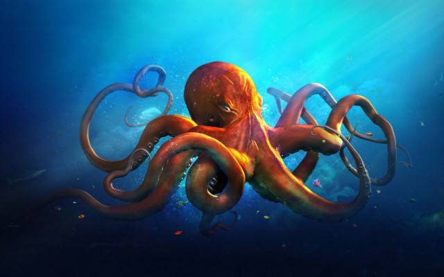 Octopus swimming ocean tentacles stretched free wallpaper for desktop - medium preview image