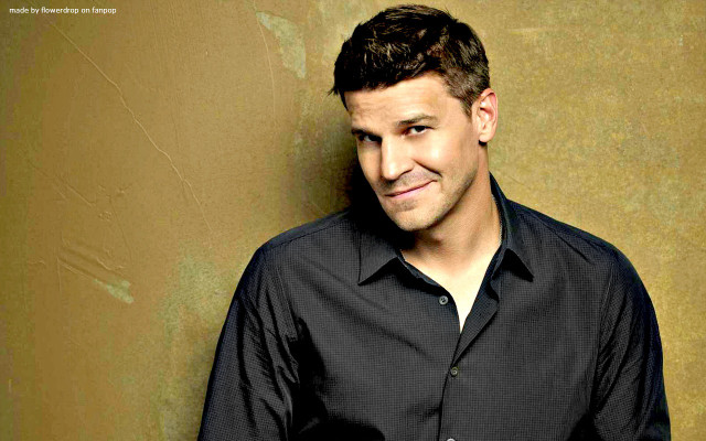 Man black shirt smiling gold free wallpaper for desktop - medium preview image