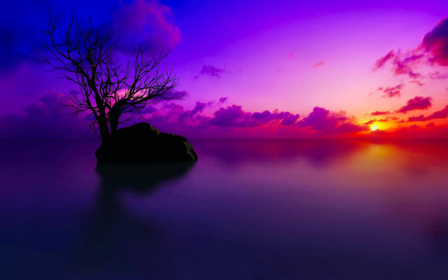 Lone tree silhouette purple sunset #4 free wallpaper for desktop - medium preview image